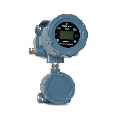 Flexim-FLUXUS F831PW Permanent Flow Meter for Process Water
